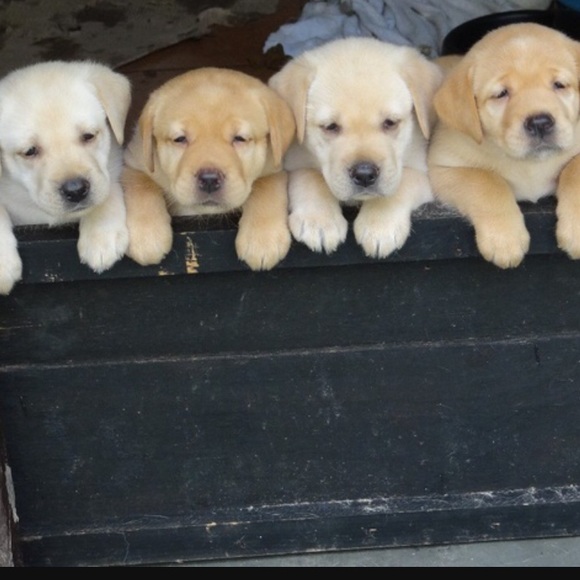 Bundle and Save! - Picture 4 of 10